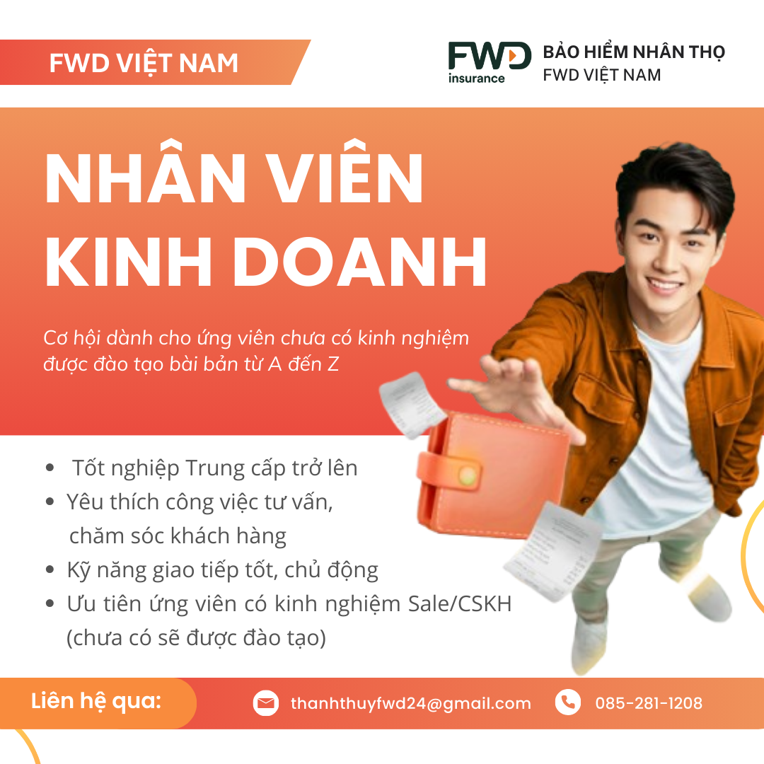 lĩnh vực hoạt động